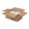 Eco-Products EcoSense Renewable Plant Starch Cutlery, Knife, 7", PK1000 EP-S001 - alternate 2
